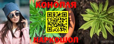 крисы Гусев