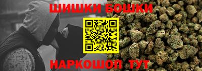 крисы Гусев