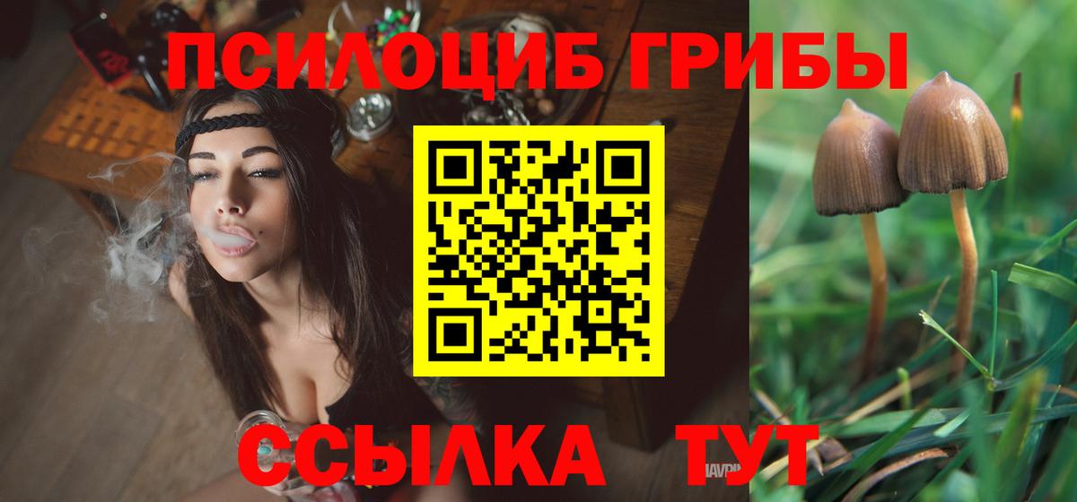 купить наркоту  Вход с VPN  Галлюциногенные грибы Magic Shrooms  Новосибирск  Псилоцибиновые грибы Psilocybe 